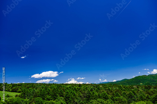 夏の爽やかな自然風景　北杜市