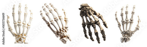 Set of skeleton hand for Halloween, isolated on transparent background.