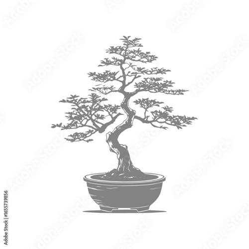 Elegant Bonsai Tree in a Pot Serene Monochrome Illustration
