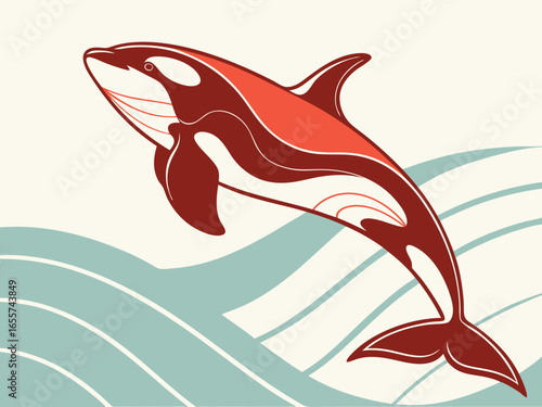 Killer whales, whales, underwater life, wild animals, animals in the sea, vector