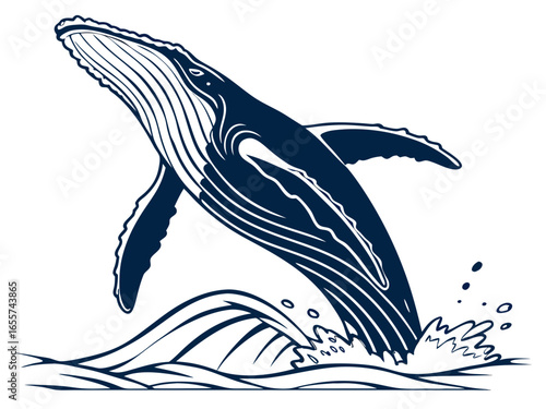 Blue whale, whales, underwater life, wild animals, animals in the sea, vector