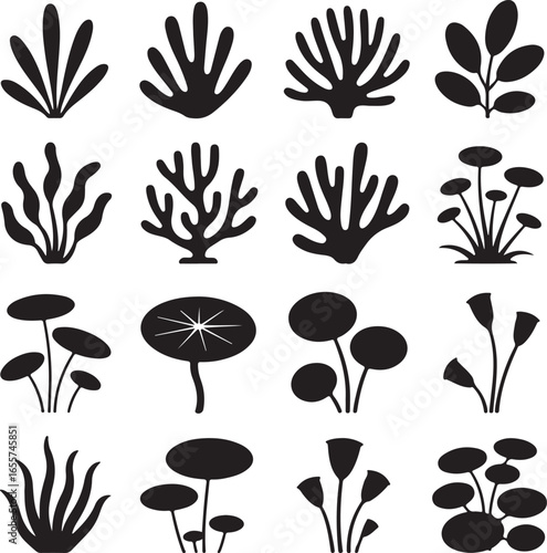 Silhouette Collection of Underwater Corals and Sea Plants on White Background ocean marine