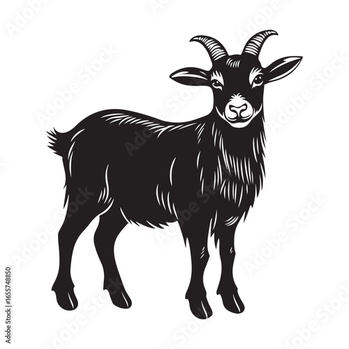 goat head Vector, goat vector illustration, goat head emblem design, Goat silhouette