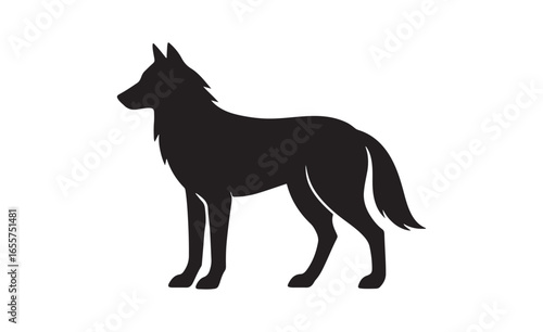Silhouette of a majestic german shepherd dog standing alert on a white background