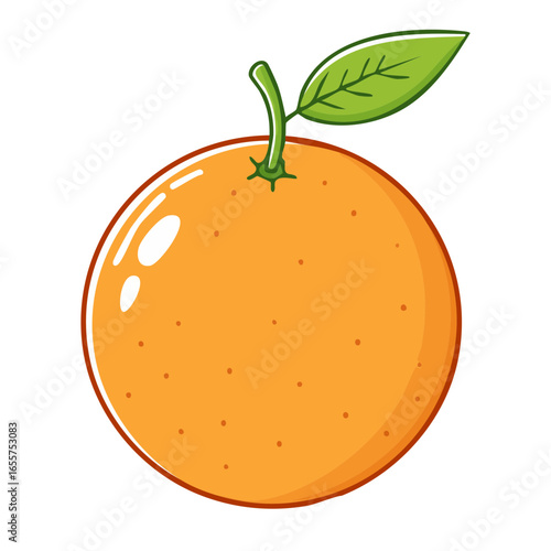 orange fruit vector illustration