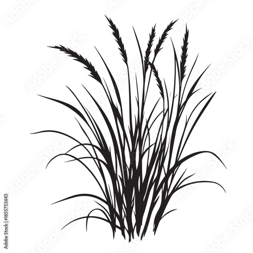 silhouette cattails reeds wild grass river bank swamp coastal plants 
