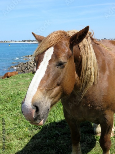 Cheval