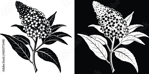 Elegant black and white floral design element perfect for sophisticated invitations and modern branding projects with botanical flair