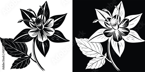 Elegant black and white columbine flower design for striking posters, invitations, and bold botanical patterns with leaves
