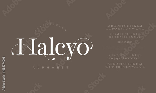 Halcyo Elegant Serif Alphabet Typeface