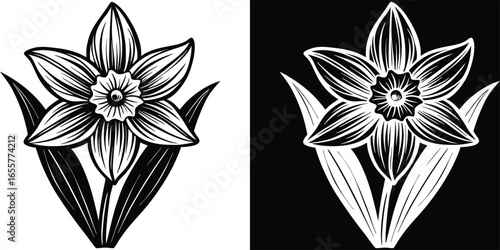 Striking black and white daffodil illustration, perfect for elegant designs or springtime themes, with a touch of minimalist sophistication