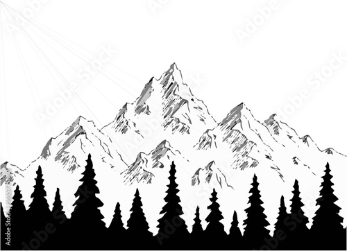 Mountain hill forest graphic ...