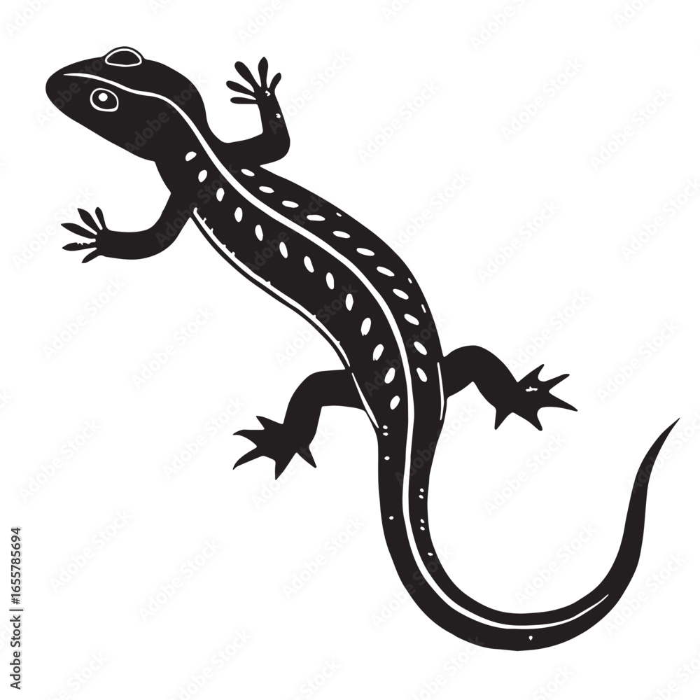 Fototapeta premium black salamander Silhouette Vector, High Quality Illustration on White Background
