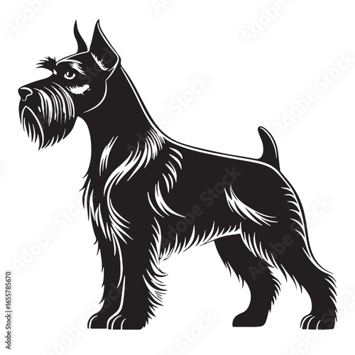 black schnauzer Silhouette Vector, High Quality Illustration on White Background