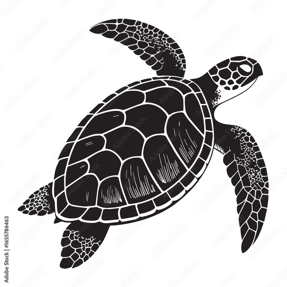 Fototapeta premium black sea turtle Silhouette Vector, High Quality Illustration on White Background