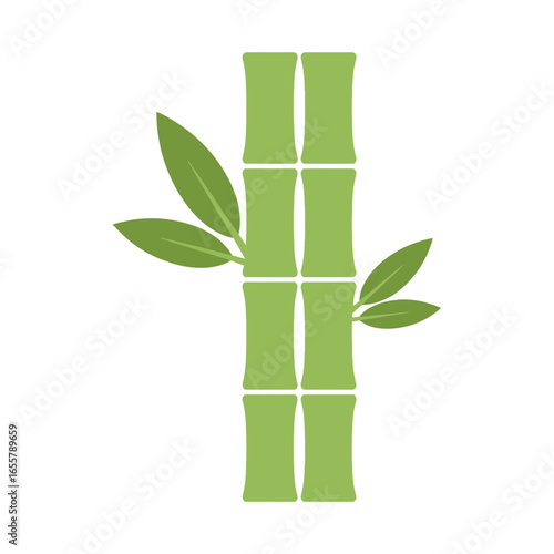 Green bamboo stalk with leaves on white background.