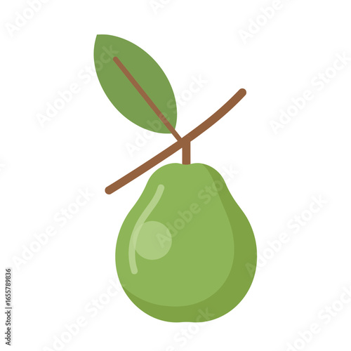 Green pear with leaf on a branch against white background.