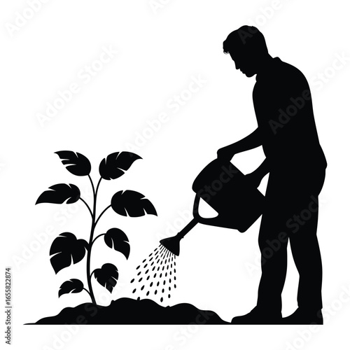 Man Fertilizing Plant Silhouette, Vector, Illustration, Outline, Line Art, Icon, White Background.