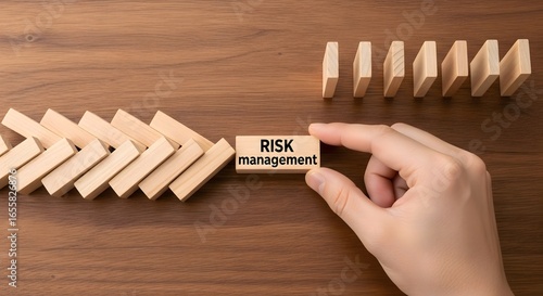 Understanding risk management strategies: preventing domino effect in business and finance models