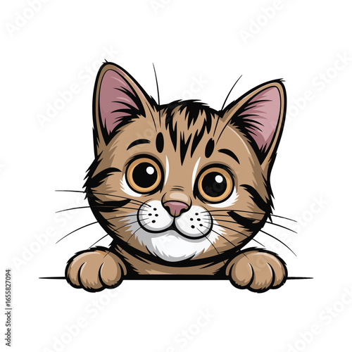 dorable cartoon tabby cat peeking over a white surface