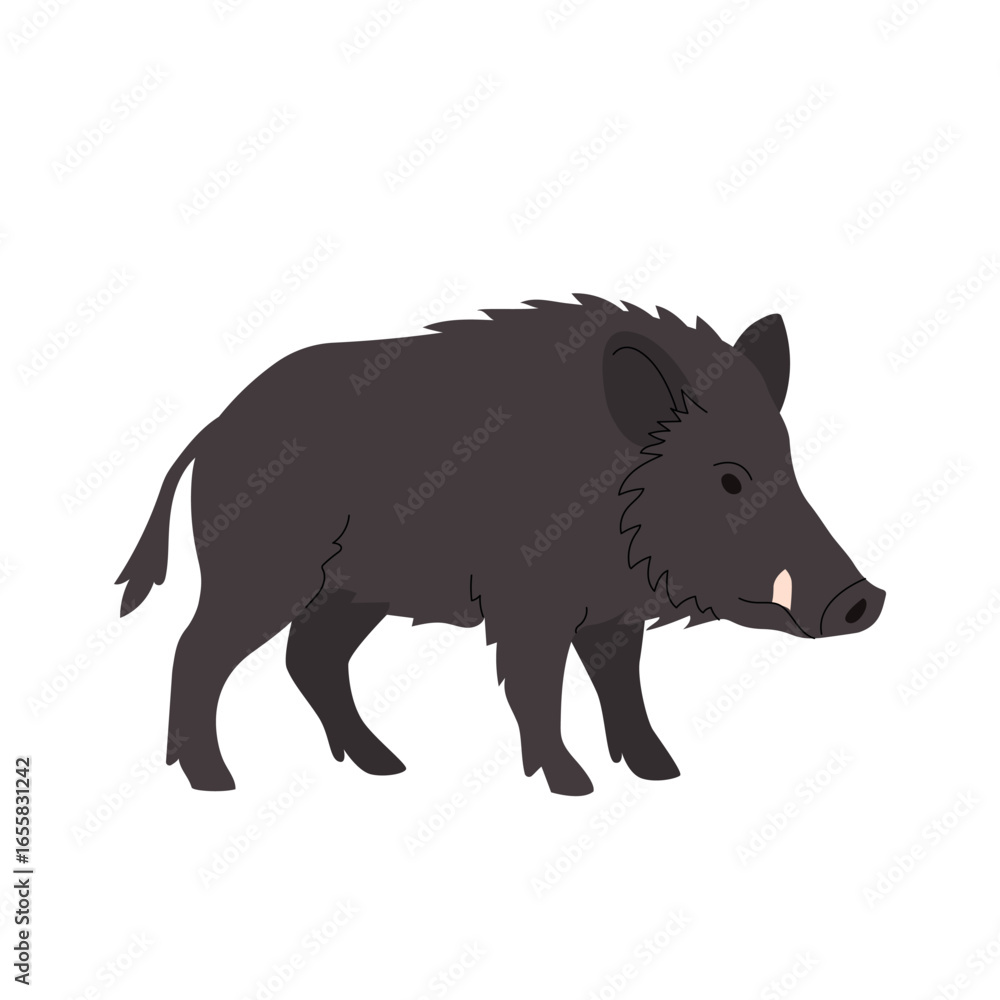 Fototapeta premium Flat illustration of a wild boar in side profile with dark brown bristly fur and visible tusks. Simple cartoon style, ideal for forest animal themes, educational content, and childrens nature books