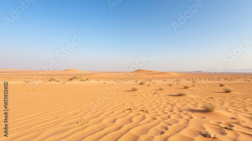 A vast desert expanse with rolling sand dunes under a clear sky scattered with sparse vegetation