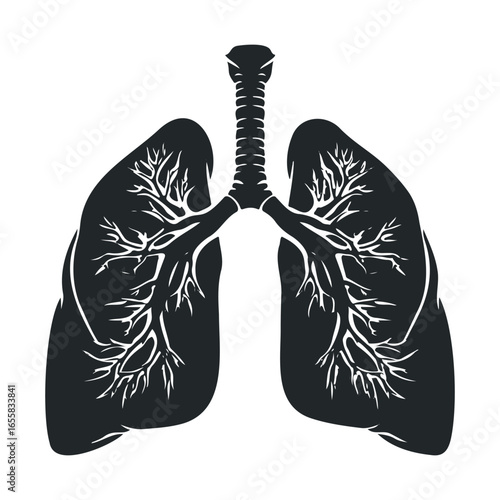 Black and white illustration of human lungs with bronchial tree
