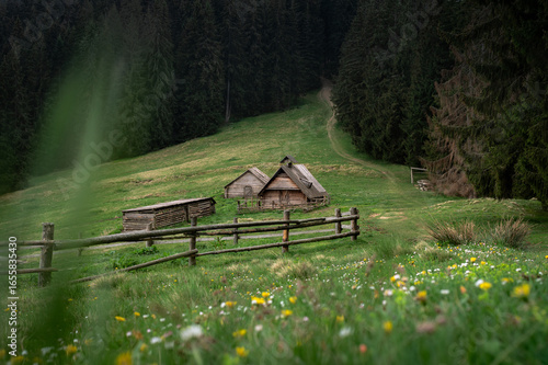 Wooden Hut in a Mountain Forest