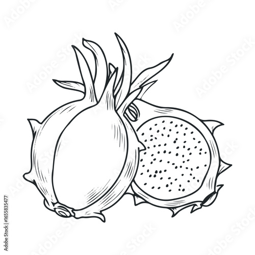 Black and white illustration of whole and sliced dragon fruit with detailed lines