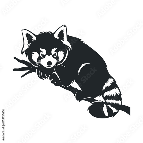 Black and white illustration of a red panda on branch