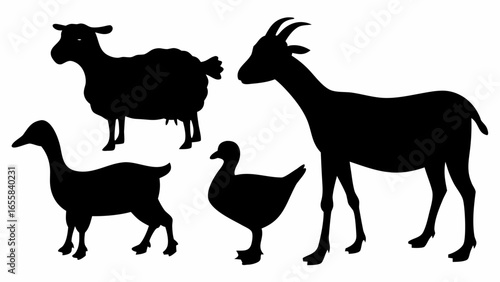 Black silhouettes of a sheep, two geese, and a goat standing on a white background in a farm scene