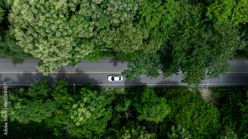 Wallpaper Mural Aerial view asphalt road on green forest mountain curve road with car, Green forest tree asphalt road with car, Mountain forest road with car, Eco ecology nature adventure travel ecosystem. Torontodigital.ca
