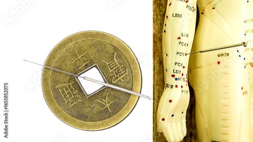 antique Chinese coin with acupuncture needle on turn table and model with meridians and needle
