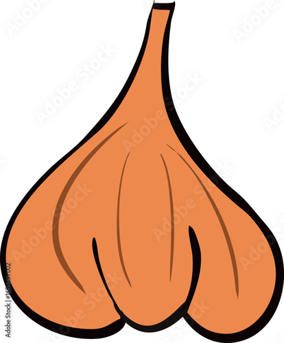 vector illustration of a onion
