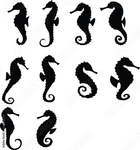 Seahorse Silhouette Black Vector Design