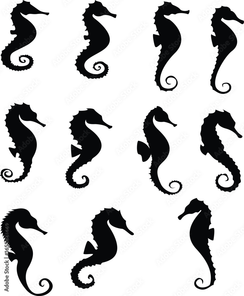Fototapeta premium Silhouette Sea Horse for Ocean Design 