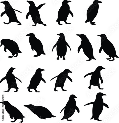Penguin Silhouette Marine Wildlife Poster