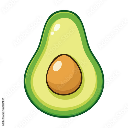vector illustration of an avocado