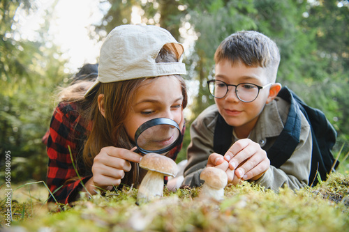 Bild auf Leinwand Young explorers observing mushrooms with magnifying glass in forest