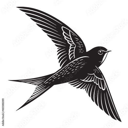 Fotografía black swift bird Silhouette Vector, High Quality Illustration on White Backgroun
