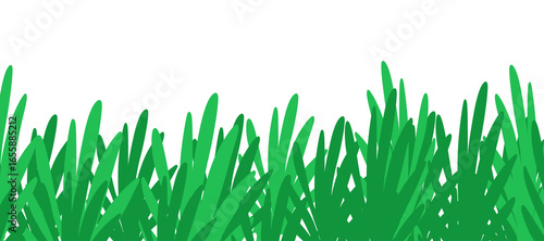 Vector illustration of green grass with fresh natural look. Simple and clean nature clipart, perfect for backgrounds, outdoor scenes, eco design, landscape decoration, posters, and digital projects.