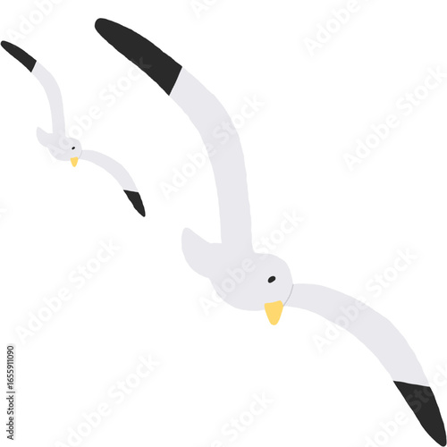 seagull flying over white background