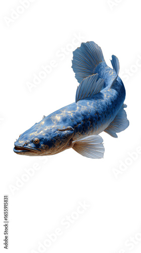 Iridescent Gold Coelacanth Fossil Variant in Lifelike Living Form