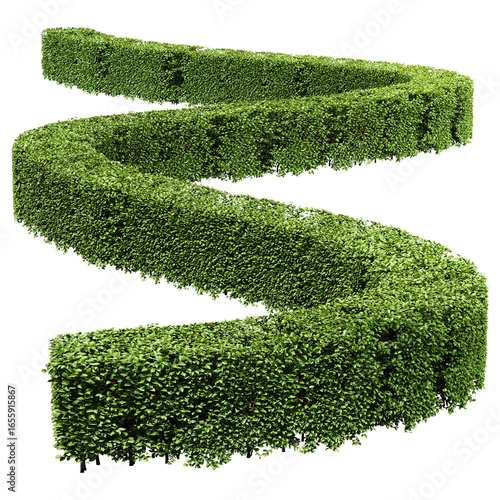 The Rectangular Cropped Hedge Cotoneaster 