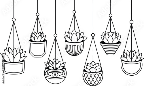 Hand drawn sketch of hanging succulent plants in geometric terrariums