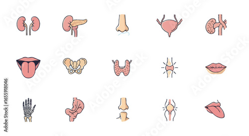 Vector body organs icons set | Include heart, lungs, kidneys, tongue, nose, bones and others