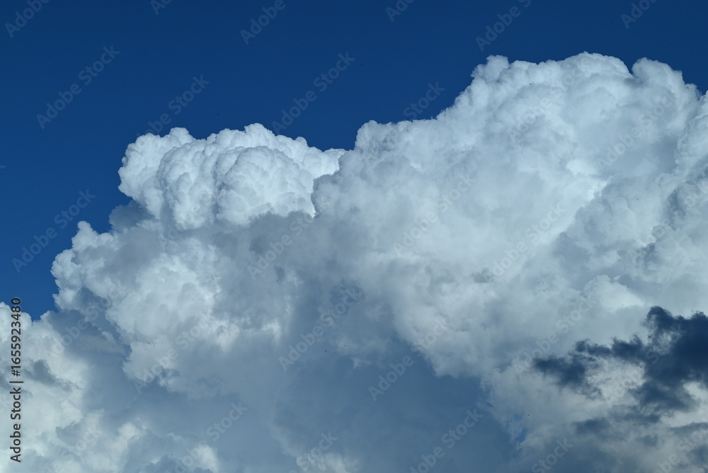 Naklejka premium 夏の青空と白い雲