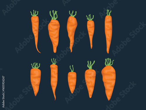 carrot vegetable ingredient fresh orange plant healthy cook product vegetarian salad diet vector cut