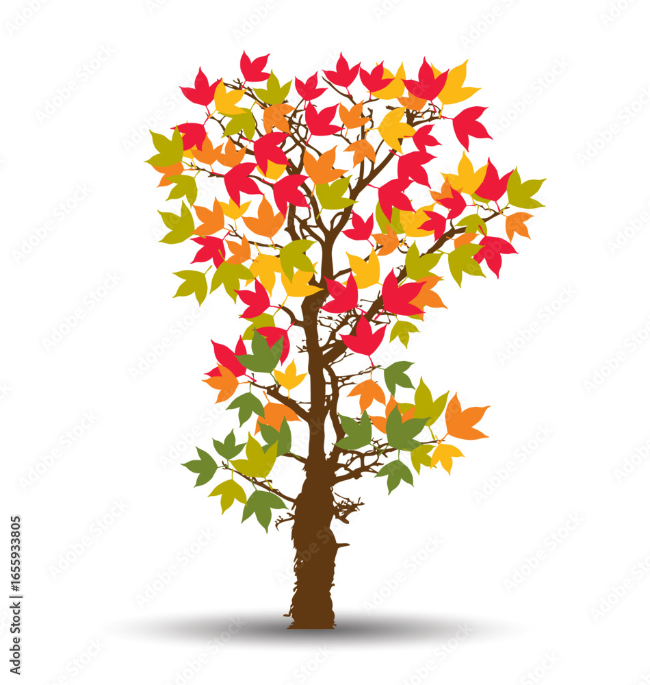 Fototapeta premium maple autumn leaves
