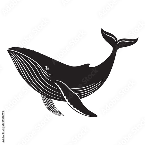 black whale Silhouette Vector, High Quality Illustration on White Background